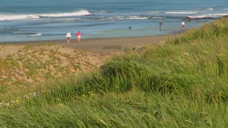 los californianos disfrutan de un estilo de vida activo caminando y trotando a lo largo de la costa
