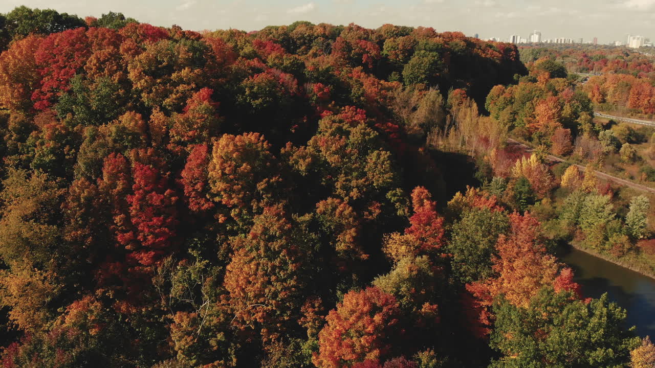 Warna musim gugur di atas Don Valley Parkway Toronto Ontario Kanada