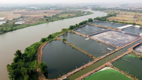 Die-Landschaft-Der-Aquakultur-Umweltlandwirtschaftsfarm