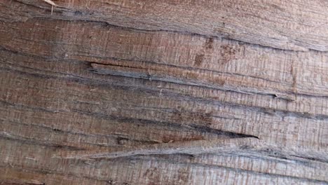 stop motion animated wood texture background useful for old films effects using opacity tool or luma matte