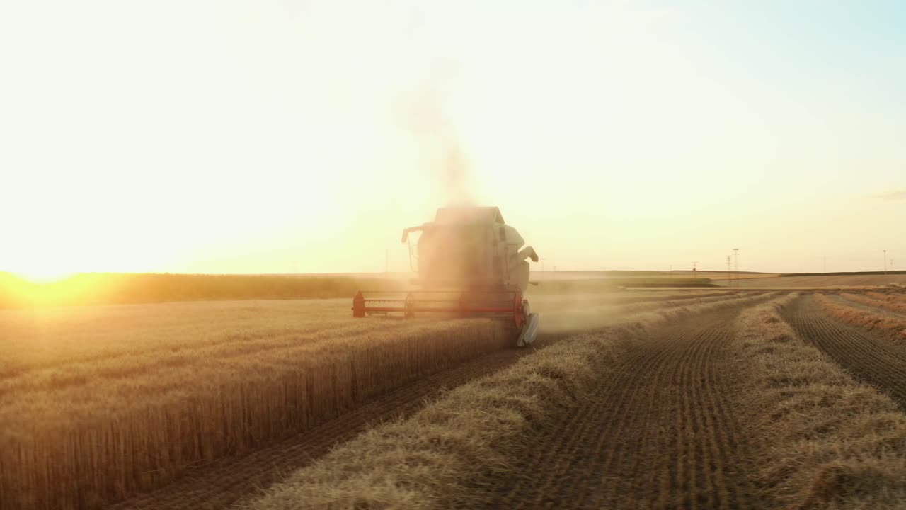 máquinas agrícolas que trabajan en tierras de cultivo durante la cosecha