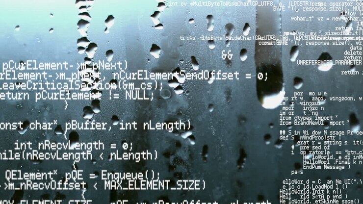 Program codes
