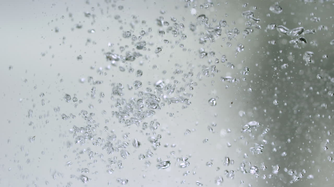 Frog jumps into water - close up on frog legs isolated on white background