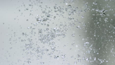 la rana salta al agua - cierra las ancas de rana aisladas en el fondo blanco