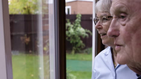 elderly man looking out window at garden