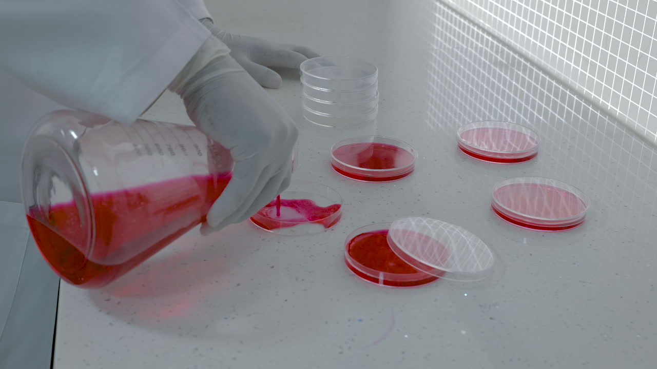 Blood test sampling in laboratory