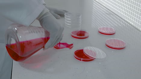 blood test sampling in laboratory