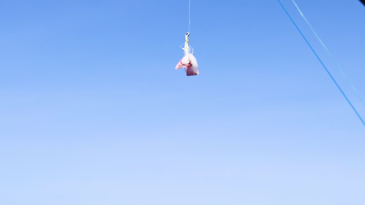 태국 푸켓에서 촬영된 흥미진진한 패러세일링 경험은 활기찬 하늘과 진정된 배경에 대한 역동적인 움직임을 보여줍니다.