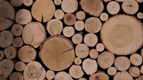 a lot of cutted logs. pile of chopped fire wood prepared for winter.