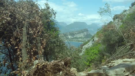 Aftermath-of-a-landslide-near-Lake-Garda,-Italy,-revealing-uprooted-trees-on-cleared-land-under-a-cloudy-sky,-with-serene-green-waters-in-the-background