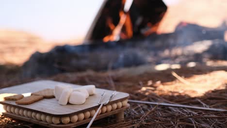 enjoy a cozy evening making campfire smores with sweet marshmallows and tasty toppings enjoy time with friends and family by a campfire making delicious smores and creating sweet memories