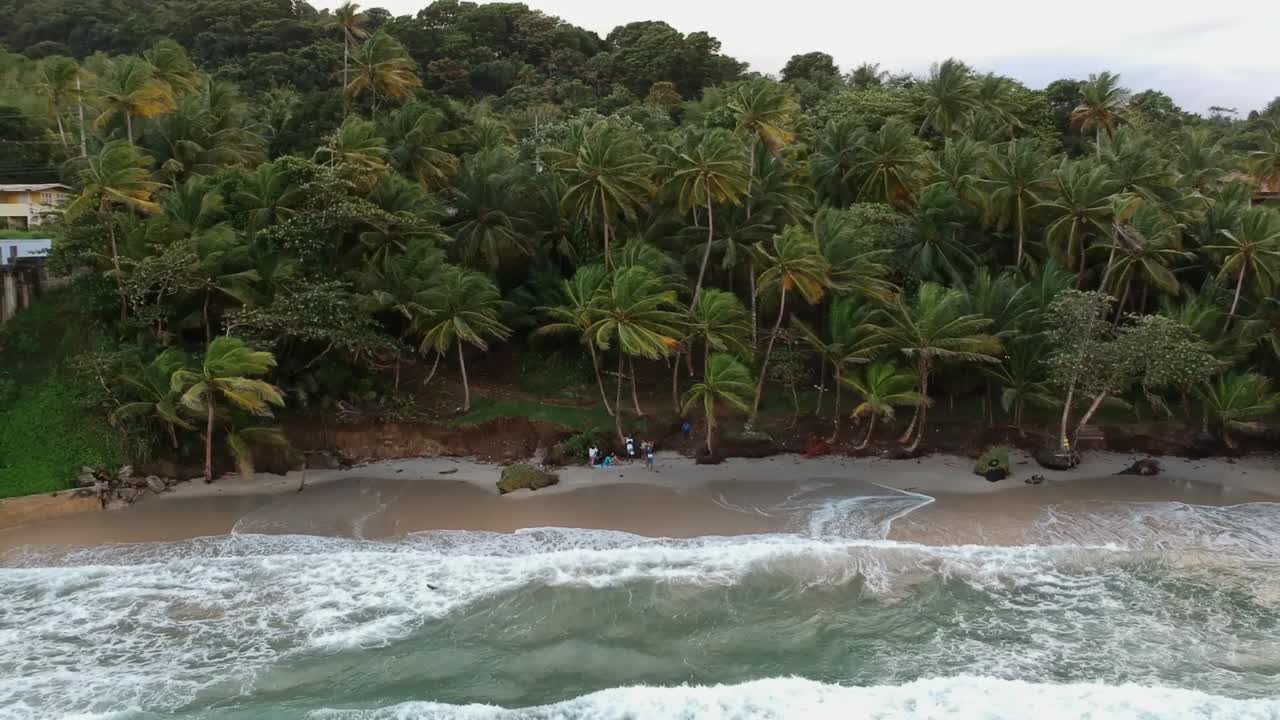 una playa costera con palmeras que bordean la costa