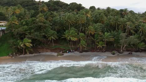 una playa costera con palmeras que bordean la costa