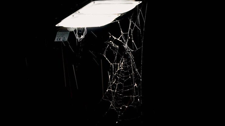 Spider Tries to Catch an Insect on a Wet Web Under Rain at Night Under Streetlight, 4K