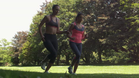 two friends jogging together in the park