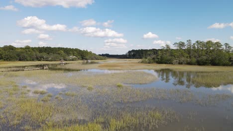 saltwater marsh on a calm sunny day in south carolina