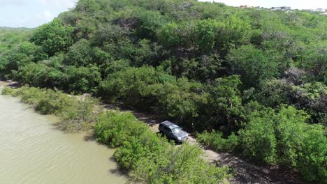 conducción de automóviles fuera de la carretera cerca del río creeck rodeado de árboles y cactus