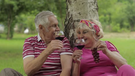 Family-weekend-picnic-in-park.-Senior-old-couple-sit-near-tree,-eating-fruits,-drinking-wine