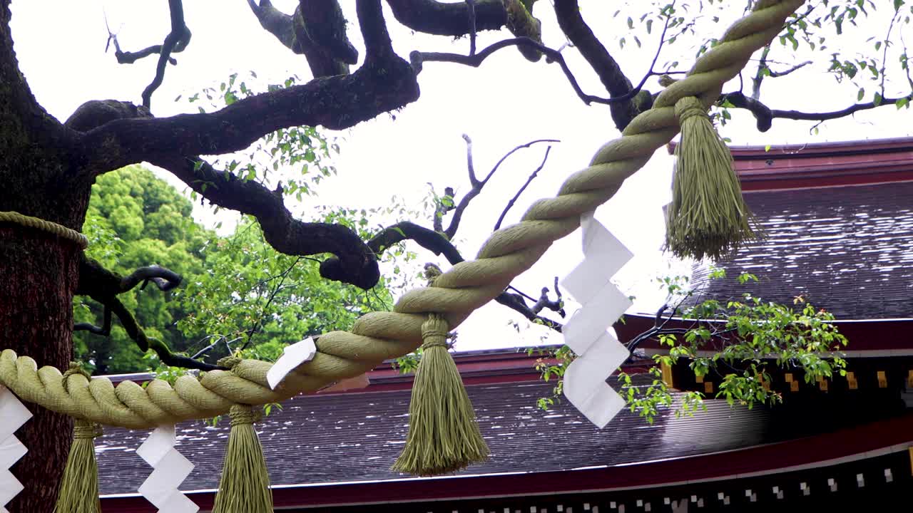 도쿄 최고의 전망