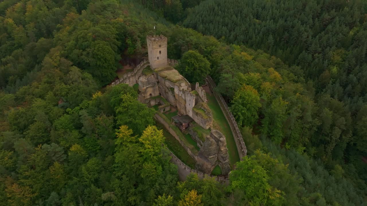Castello abbandonato di Burg Helfenburk circondato dalla foresta, Usti nad Labem, Cechia.