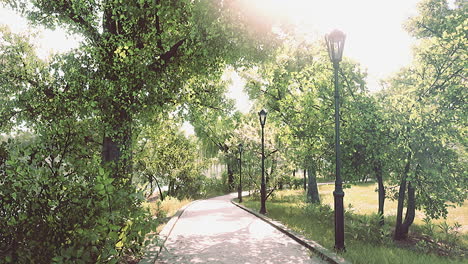 Camino-De-Piedra-A-Través-De-Un-Tranquilo-Parque-Verde