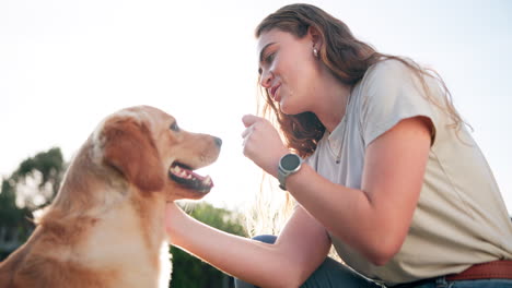 woman with her golden retriever dog