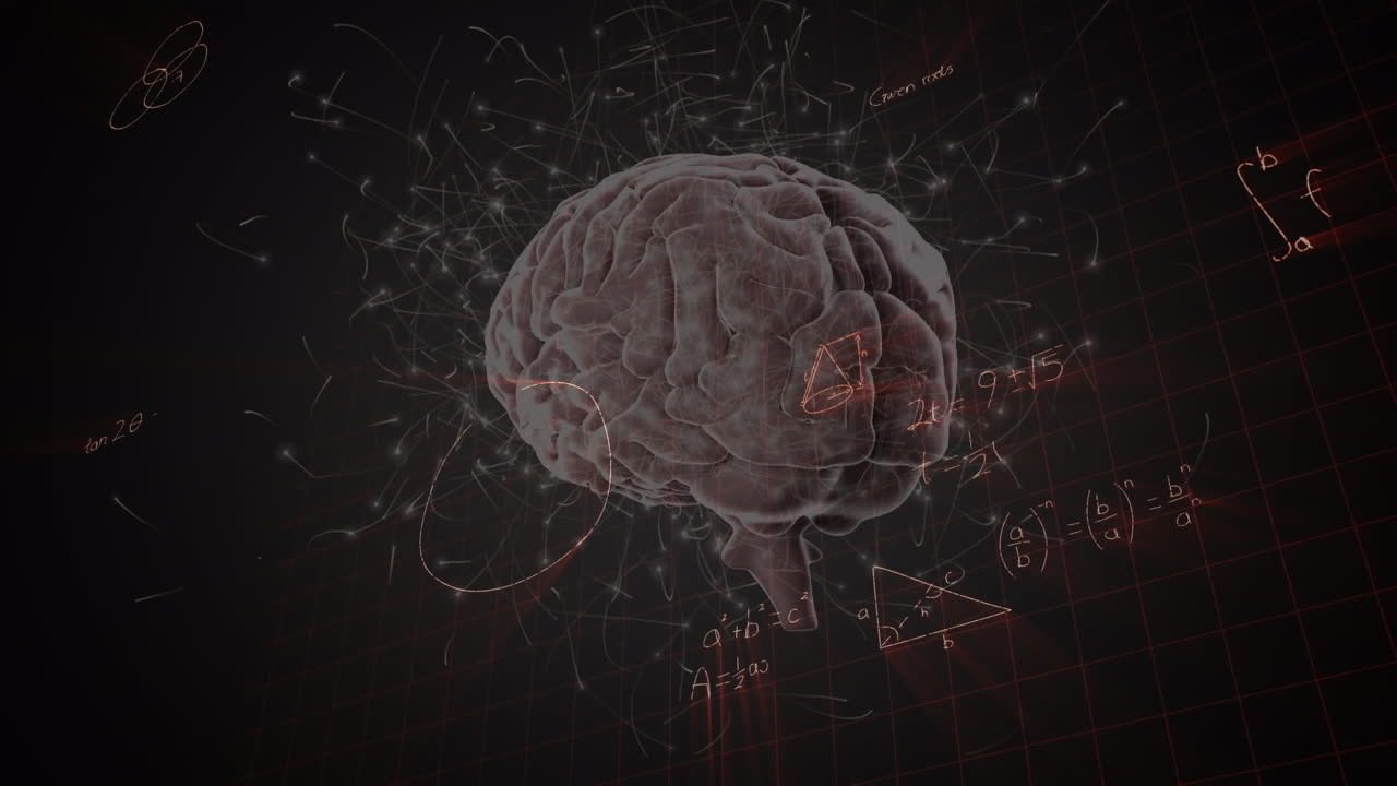animación del cerebro humano y procesamiento matemático de datos