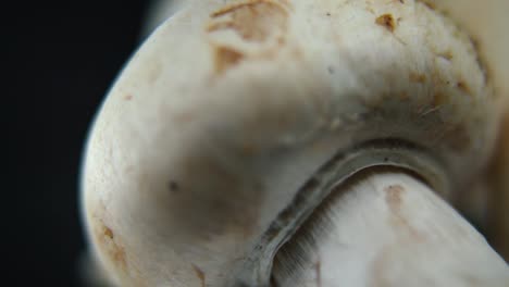 Macro-dreamy-video-of-a-pile-of-mushrooms,-detailed-RAW-champignons,-white-caps-reflection,-on-a-rotating-stand,-smooth-movement,-slow-motion-120fps