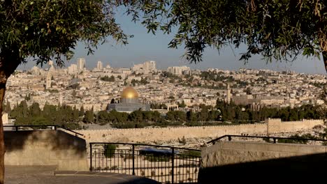 zoom in shot of dome of the rock framed by olives trees in jerusalem