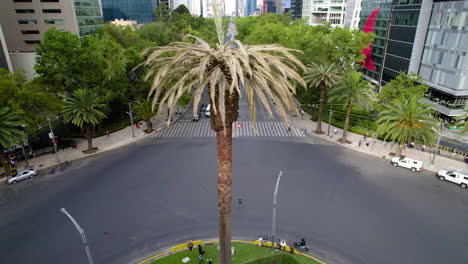 Frontalszene-Mit-Drohne-Der-Trockenen-Palme-Des-Paseo-De-La-Reforma-In-Mexiko-Stadt