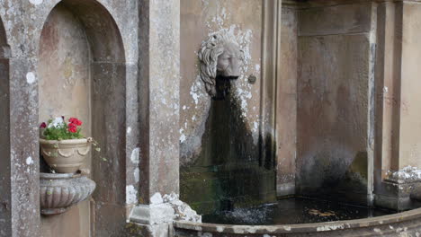 Ein-Steinerner-Wasserbrunnen-Mit-Löwenkopf-Und-Ein-Torbogen-Mit-Blumen