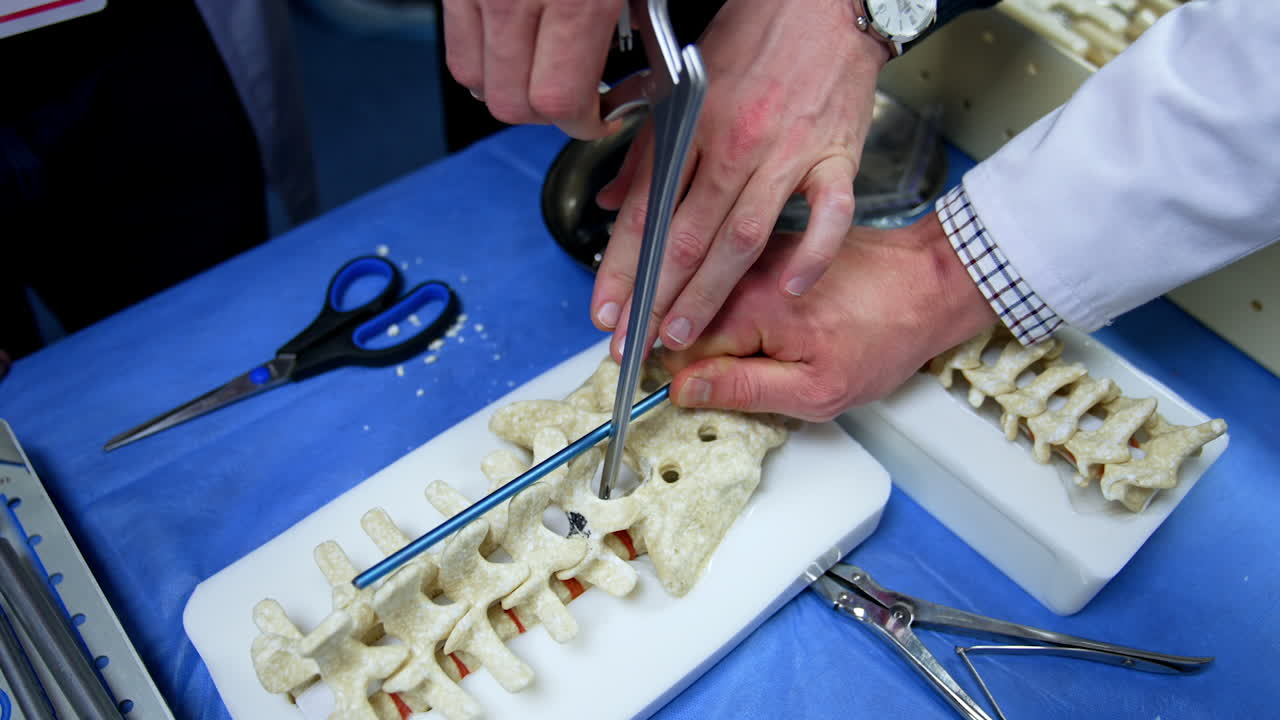 Spine models surrounded by diverse tools are on the table. Medical students learn to apply neurosurgical instruments. Top view.