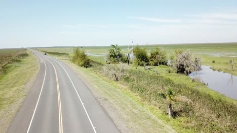 湿地の隣の道路を通過する車の空撮