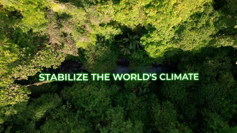 stabilize the world cimate animation text for a motivational video title over the tropical rainforest