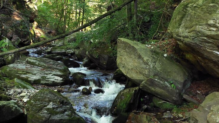 Ormanda kayalar ve büyük taşlar üzerinden akan dağ nehri, Slovenya'daki Bistriski Vintgar Pohorje dağı, yürüyüş ve doğa turizmi simgesi, ekolojik temiz su anlayışı, doğal kaynaklar, 4K pan.