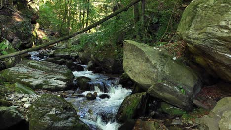 mountain river flowing over rocks and boulders in forest, bistriski vintgar pohorje mountain, slovenia, hiking and outdoor tourism landmark, ecology clean water concept, natural resources, 4k pan