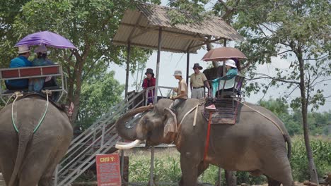 tourists riding elephants in asia
