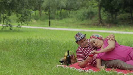 picnic familiar de fin de semana. una pareja de abuelos mayores en el parque usando un teléfono inteligente, navegación en línea, chat