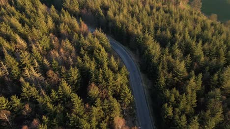 Eine-Leere,-Kurvige-Straße,-Die-Bei-Sonnenuntergang-Durch-Einen-Dichten,-Grünen-Wald-Führt