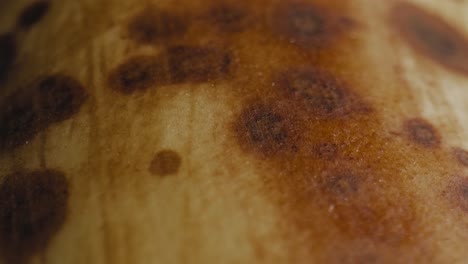 zoom cinematográfico a través de la piel de plátano maduro en el fondo oscuro del estudio