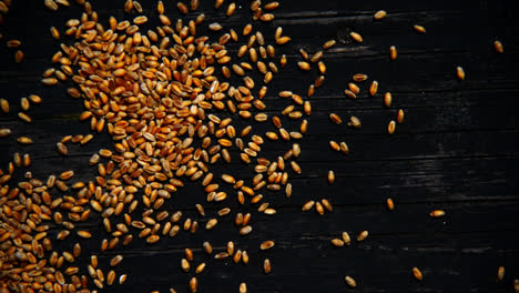 wheat seeds being dropped onto a wooden plate ready to cook