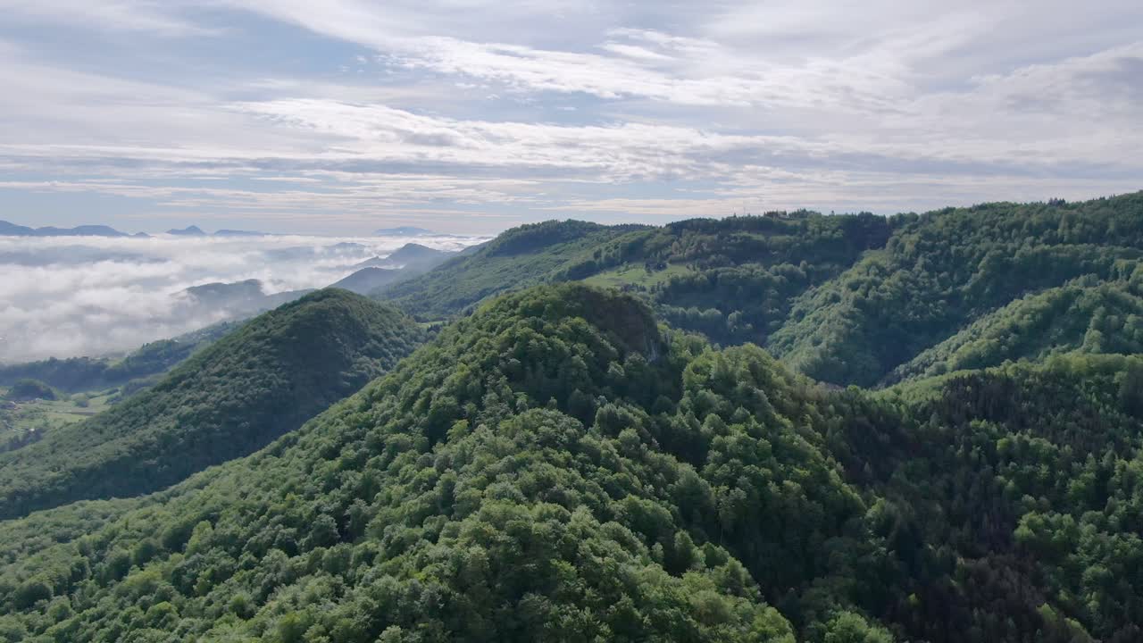 Mountain range completely covered with green trees and clouds hanging low between the hills. Aerial drone shot