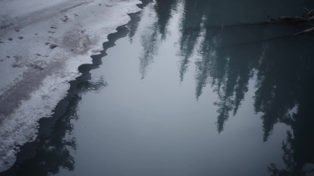 Forest trees reflecting in a party frozen river in winter