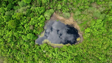 Aerial-drone-b-roll-footage-of-lake-surrounded-with-beautiful-summer-colors-of-the-forest