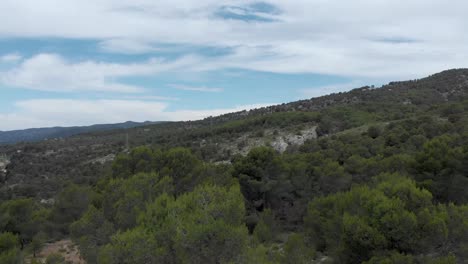 arbustos y árboles en los acantilados rocosos de las montañas de alcoi, valencia, españa
