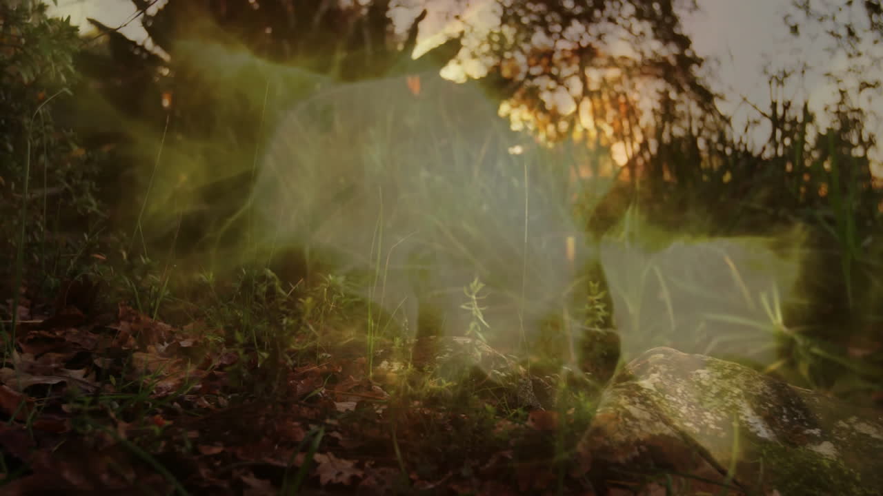 Medium light-colored dog moving through undergrowth with moss and leaves in flat design