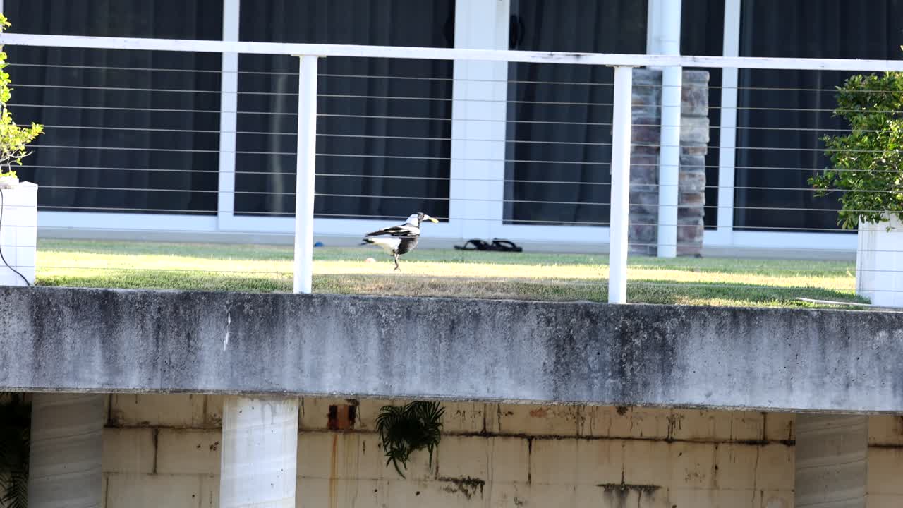 현대 건물 의 발코니 를 따라 고 있는 마기