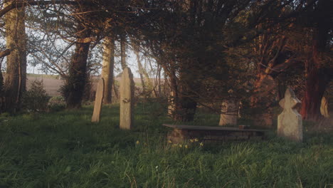 Grave-Marks-In-Old-Cemetery-With-Growing-Grassy-Landscape-And-Trees-At-Misty-Morning