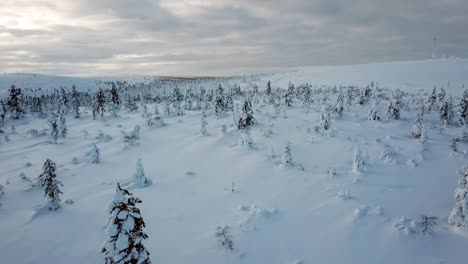 Drohnenansicht-Einer-Verschneiten-Landschaft-In-Saariselka,-Lappland,-Finnland