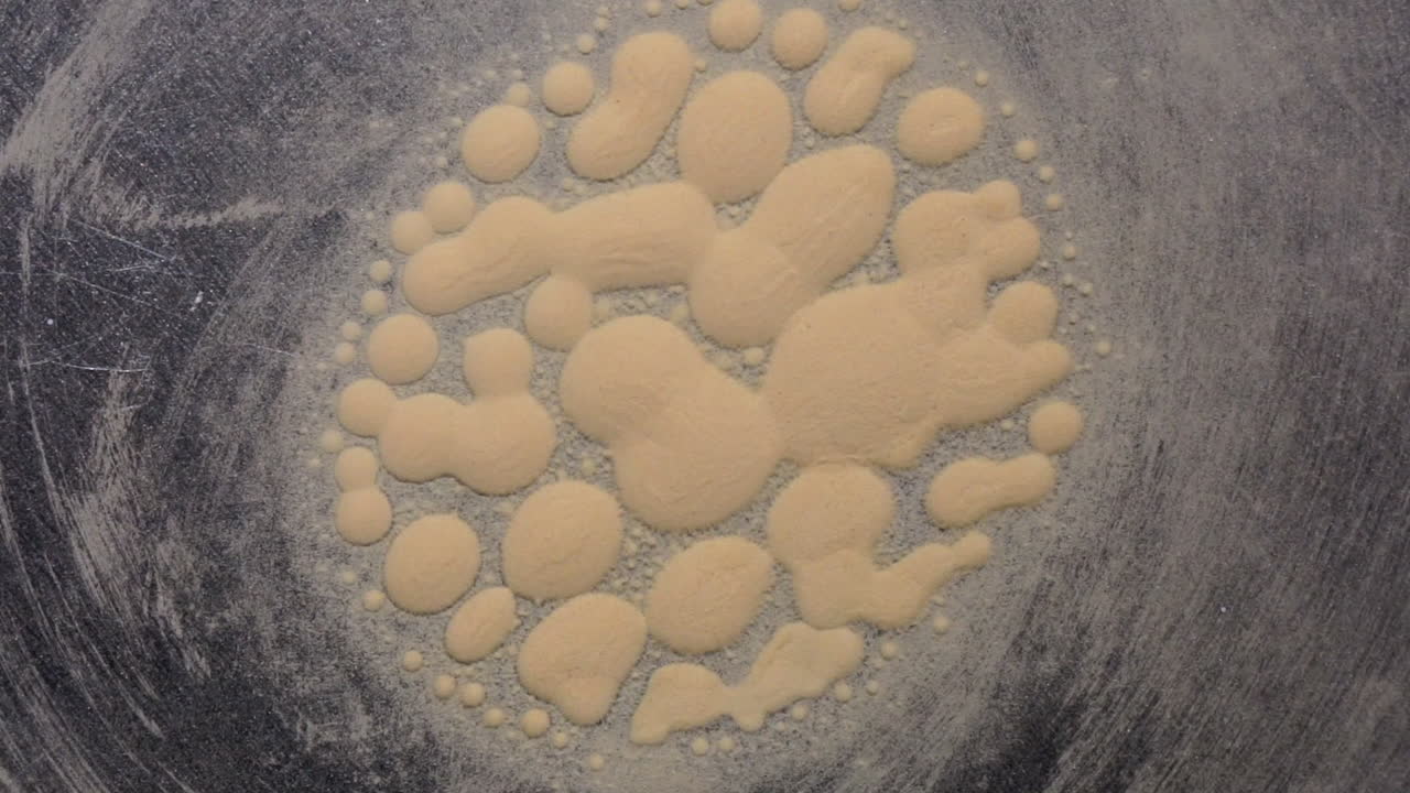 cymatic 진동의 영향으로 떨리는 lycopodium 포자의 세포와 같은 소구